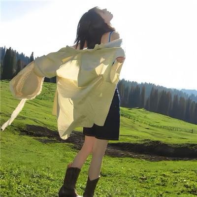 宝嘉先生